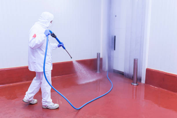 Best Driveway Pressure Washing  in Fearrington Village, NC